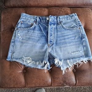 Agolde Jean Shorts